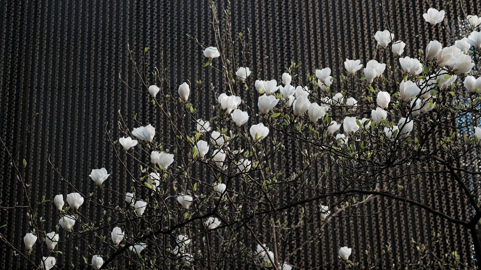 Lifestyle F NF H FE Shopping